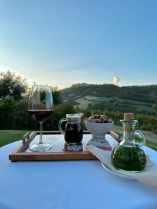 WhatsApp Image 2025-02-14 at 15.35.35-5